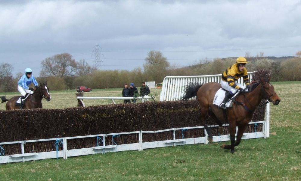 FIRST WIN FOR ED BAILEY AT MAISEMORE | Pointing West Mercian