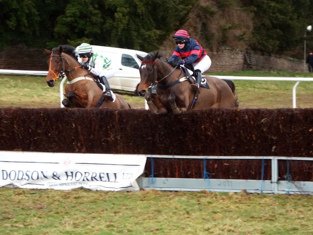 THE MAGHERALLY MAN PREVAILS IN THE MUD AT GARNONS | Pointing West Mercian