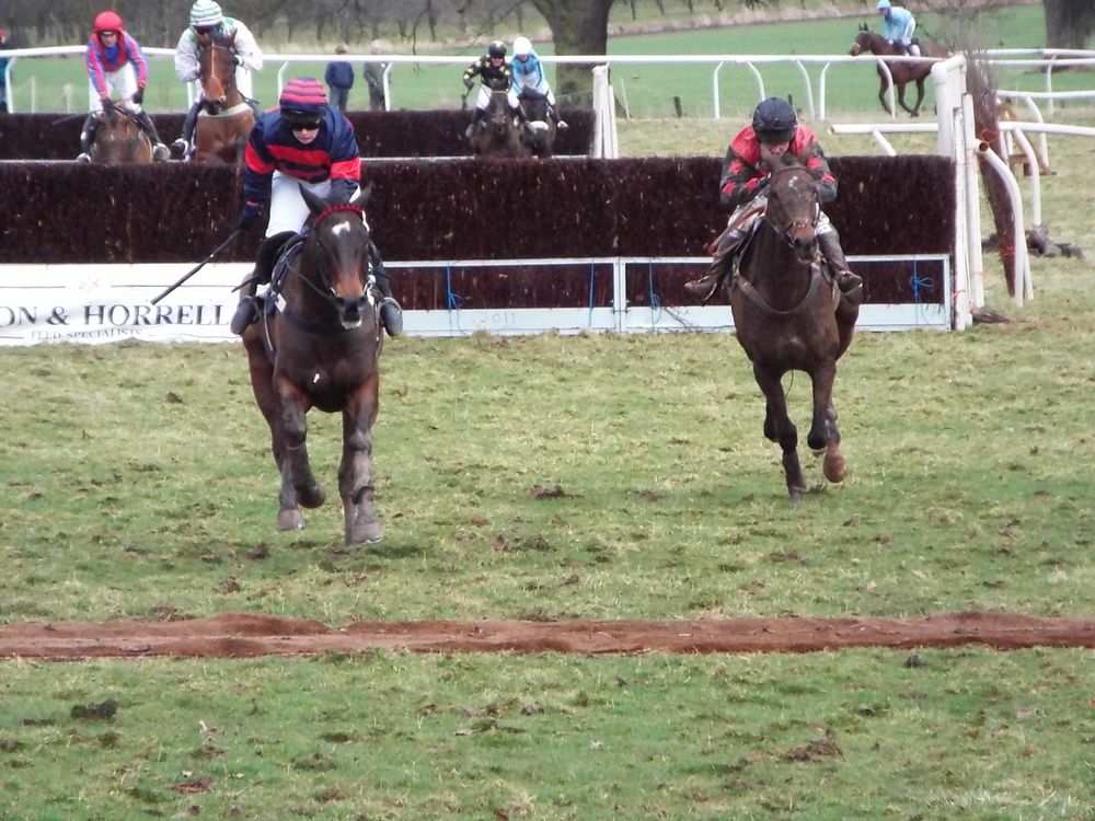 THE MAGHERALLY MAN PREVAILS IN THE MUD AT GARNONS | Pointing West Mercian